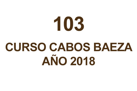 103 CURSO DE CABOS
