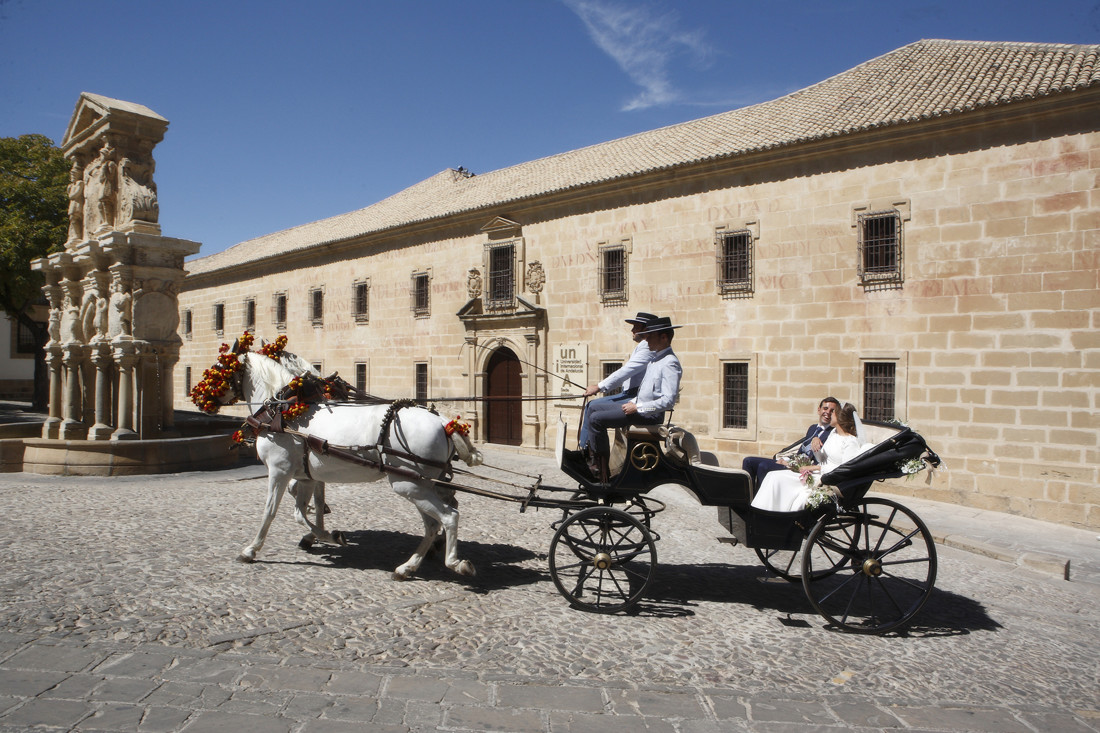 fotografos jaen (20)