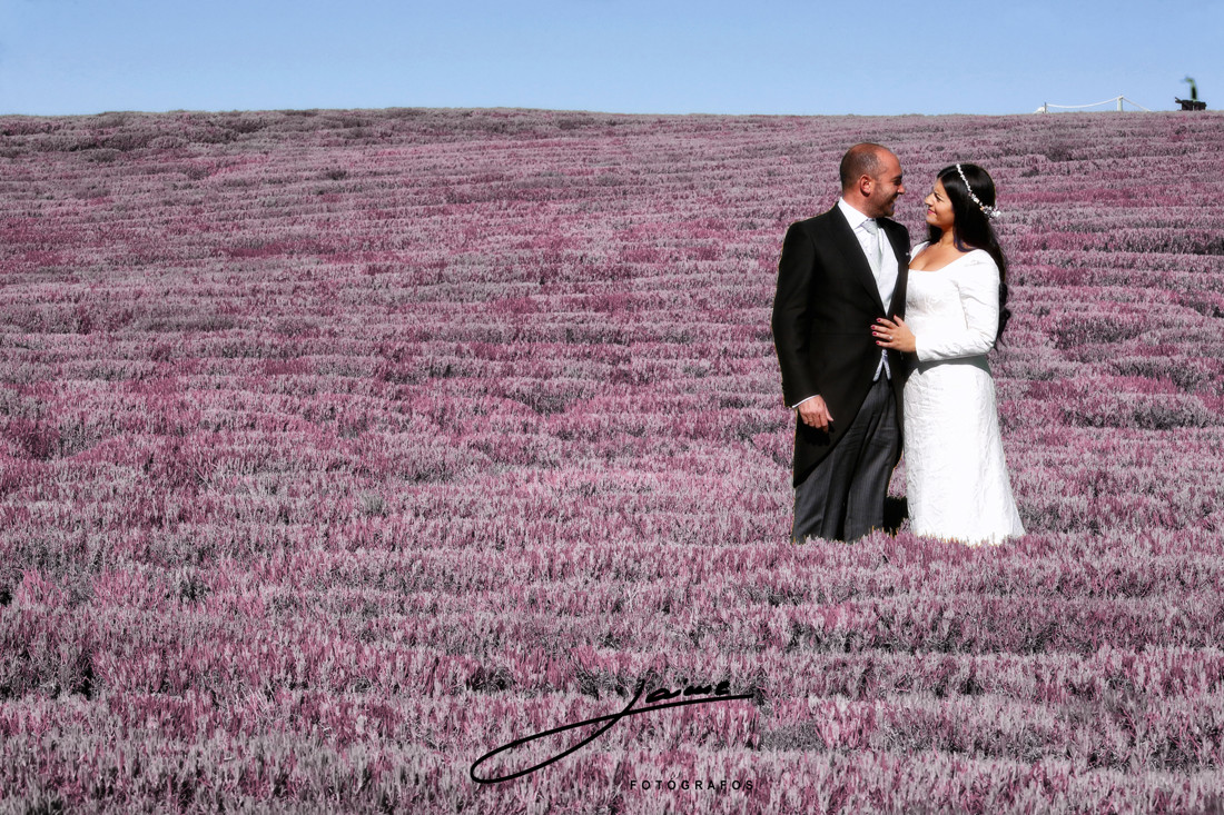 fotografos alcala la real (12)